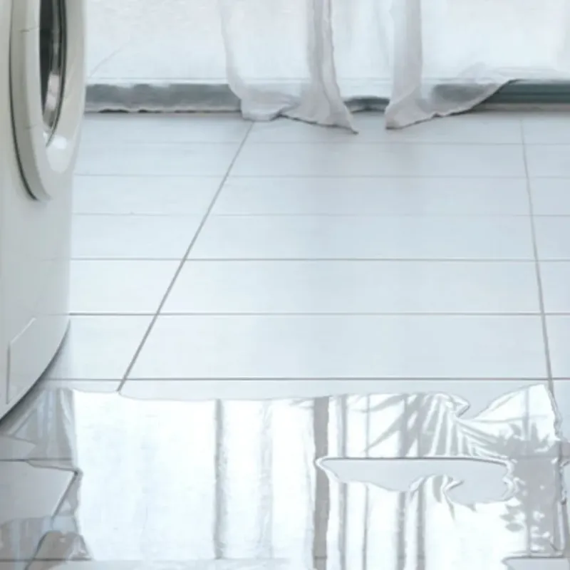 Appliance Leak Cleanup in Plains, MT