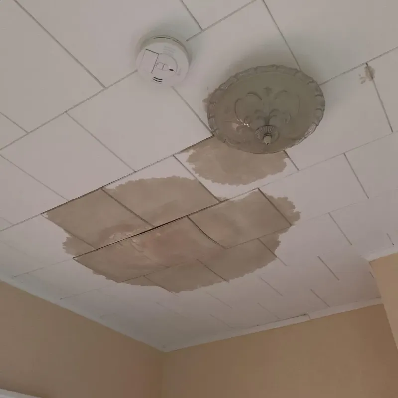 Ceiling Water Damage Repair in Plains, MT