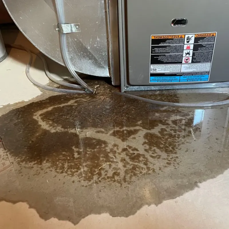 Pipe Burst and Leak Restoration in Plains, MT